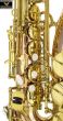 Phoenix AS-1A Professional Alto Saxophone