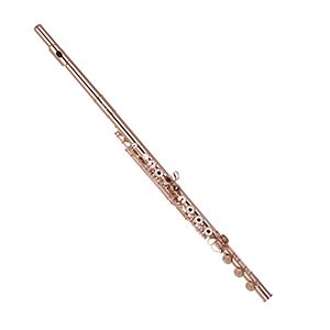 Phoenix FL5SS Professional Flute
