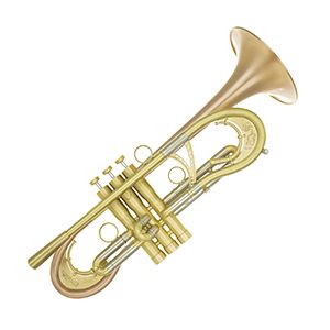 Phoenix TR-M8B Professional Mellow Trumpet  