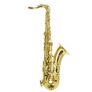 Phoenix TS-1A Professional Alto Saxophone