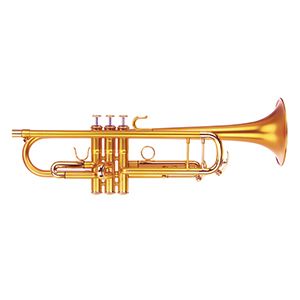 Eclipse Celeste CLS Bb Trumpet - Now known as Enigma 