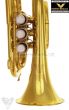 Phoenix TR-PT1A High Quality Pocket Trumpet