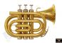 Phoenix TR-PT1A High Quality Pocket Trumpet