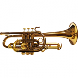 Eclipse Long Cornet