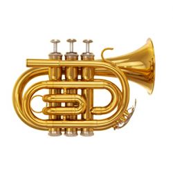 Phoenix TR-PT1A High Quality Pocket Trumpet
