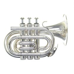 Phoenix TR-PT1B High Quality Pocket Trumpet
