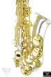 Phoenix AS-1B Professional Alto Saxophone