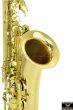 Phoenix TS-1A Professional Alto Saxophone