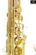 Phoenix TS-1B Professional Tenor Saxophone