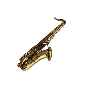Phoenix TS5 Professional Tenor Saxophone