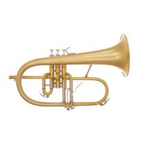 Phoenix F-1 Professional Flugelhorn