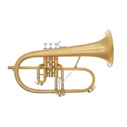 Phoenix F-1 Professional Flugelhorn